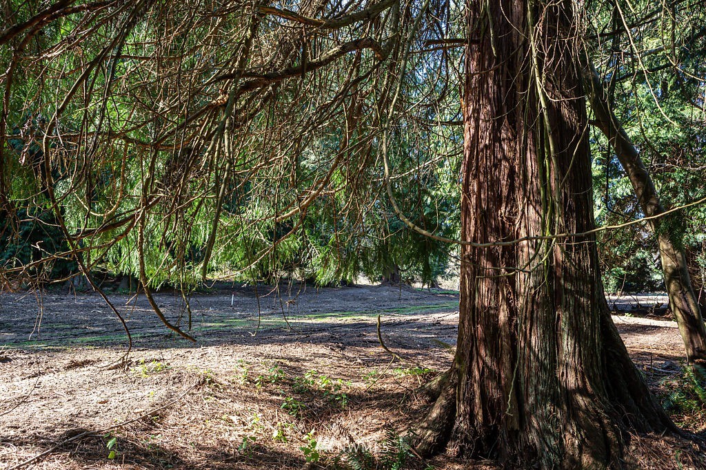 -lot A Lot A Sandy Point Road Langley, WA 98260 - Photo 11 of 21 Gallery Image 11