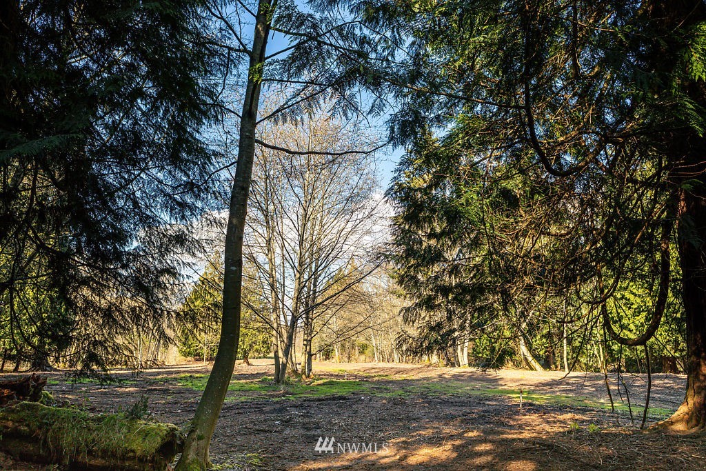 -lot A Lot A Sandy Point Road Langley, WA 98260 - Photo 12 of 21 Gallery Image 12