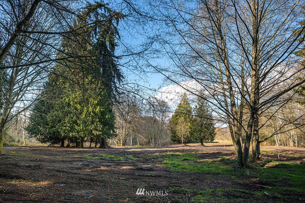 -lot A Lot A Sandy Point Road Langley, WA 98260 - Photo 13 of 21 Gallery Image 13