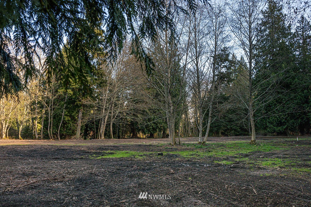 -lot A Lot A Sandy Point Road Langley, WA 98260 - Photo 14 of 21 Gallery Image 14
