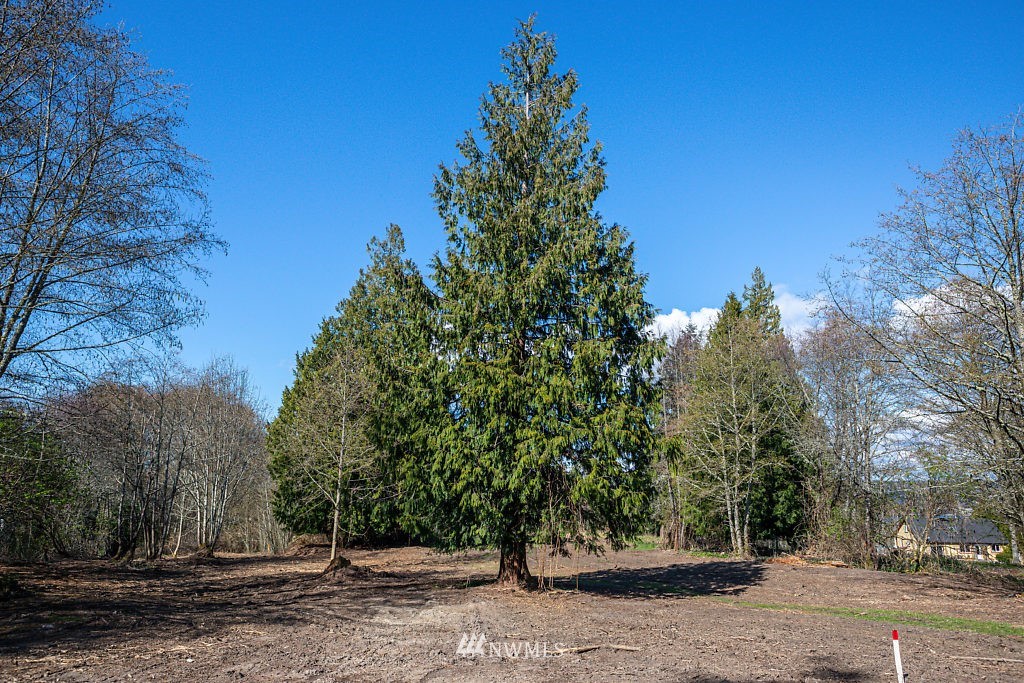 -lot A Lot A Sandy Point Road Langley, WA 98260 - Photo 15 of 21 Gallery Image 15