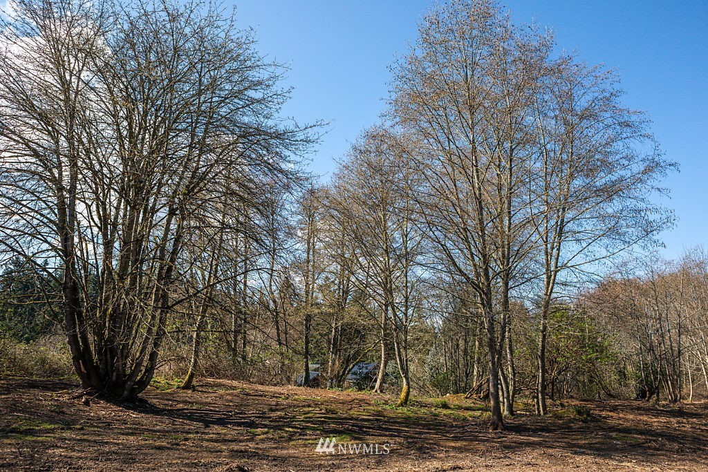 -lot A Lot A Sandy Point Road Langley, WA 98260 - Photo 16 of 21 Gallery Image 16