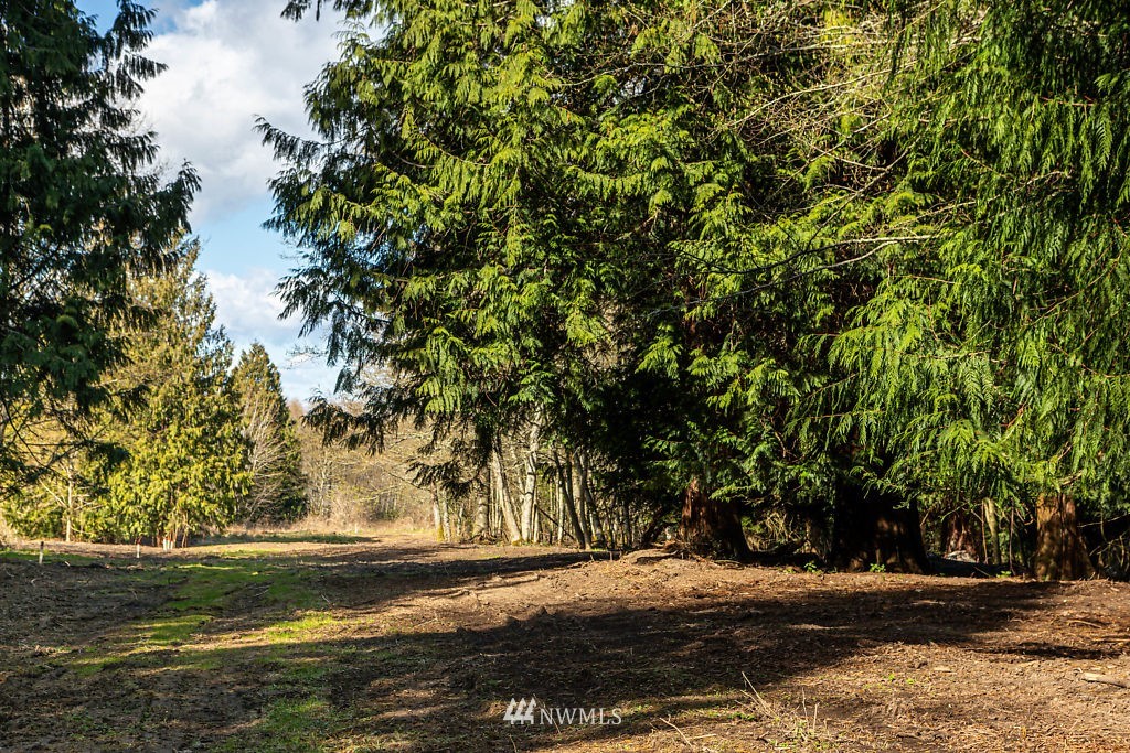 -lot A Lot A Sandy Point Road Langley, WA 98260 - Photo 9 of 21 Gallery Image 9