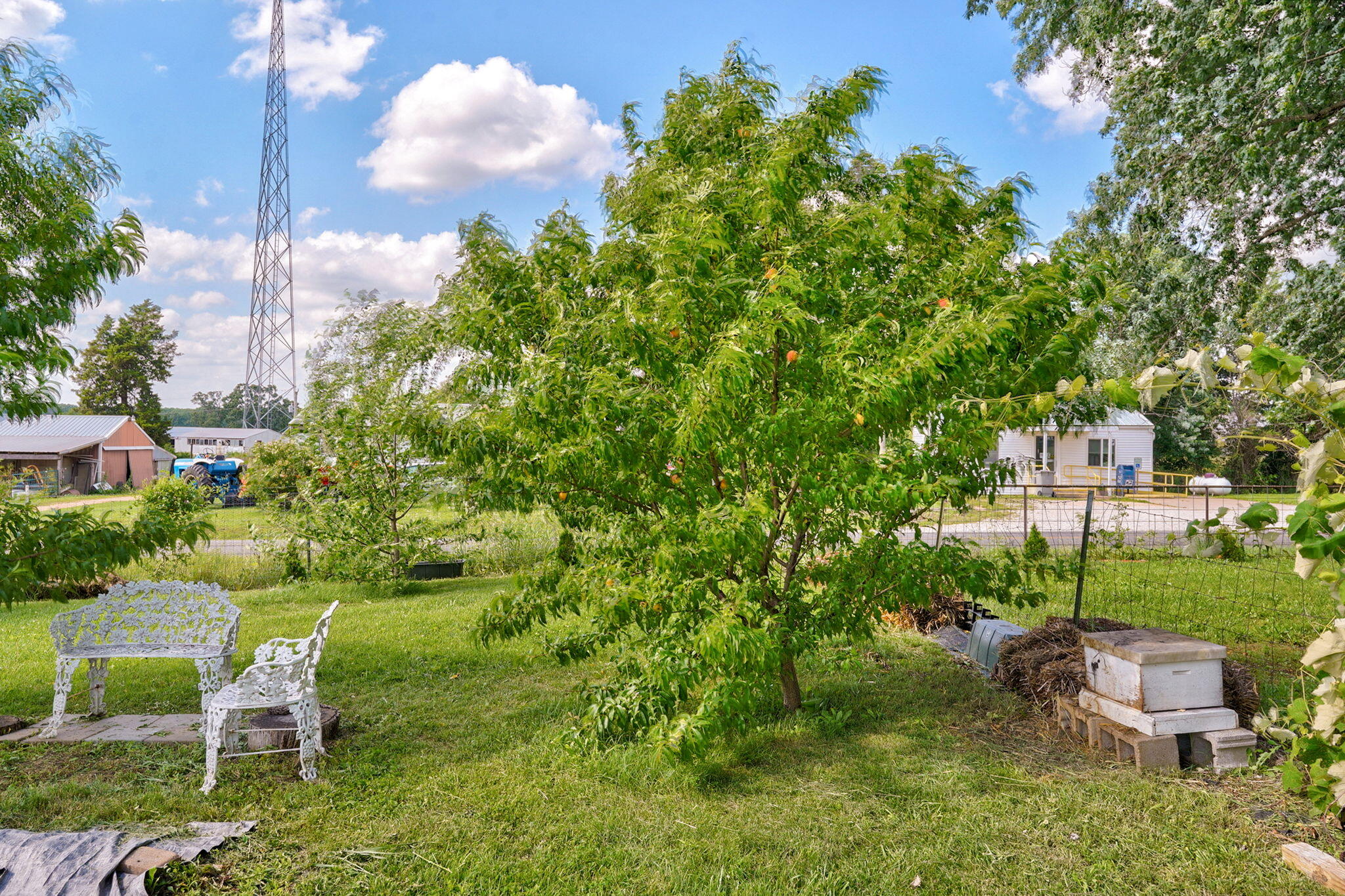 121 South Marshfield Road Sparta, MO 65753 - Photo 66 of 72 IMG_4800
