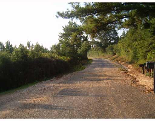 0 Old River Road Tylertown, MS 39667 - Photo 2 of 5