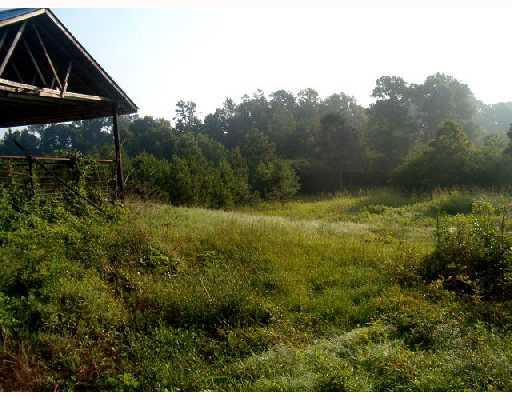 0 Old River Road Tylertown, MS 39667 - Photo 3 of 5