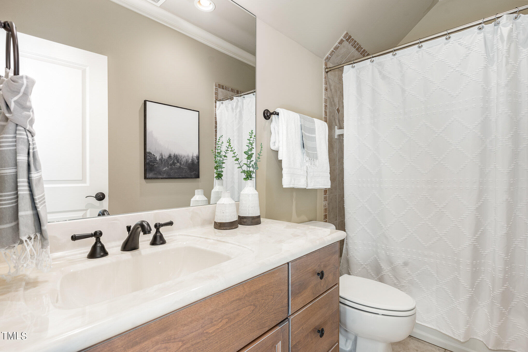 3028 Wyntree Ridge Way Raleigh, NC 27606 - Photo 24 of 39 a bathroom with a granite countertop sink a toilet and a mirror