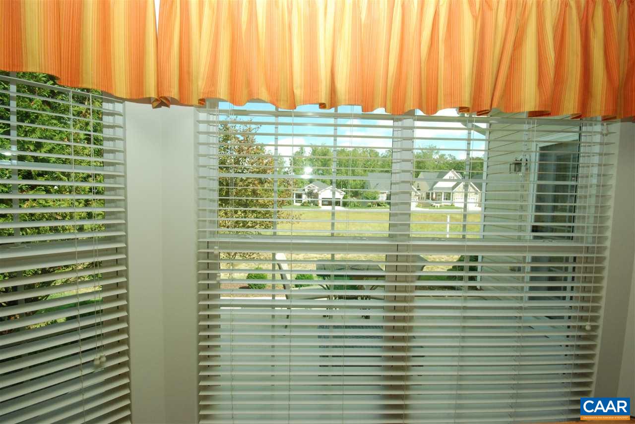 76 John Rucker Drive Ruckersville, VA 22968 - Photo 12 of 35 Gallery Image 12