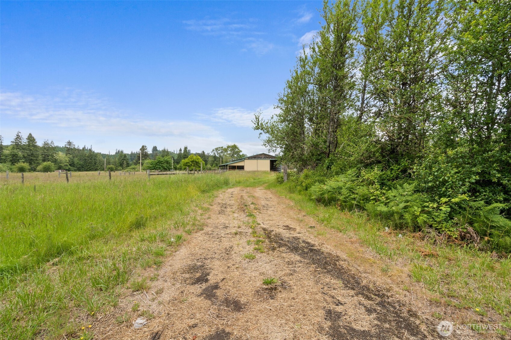 36 Lebam Road Raymond, WA 98577 - Photo 31 of 37