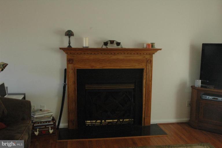 107 Mason Runn Lane Rising Sun, MD 21911 - Photo 6 of 25 Fireplace