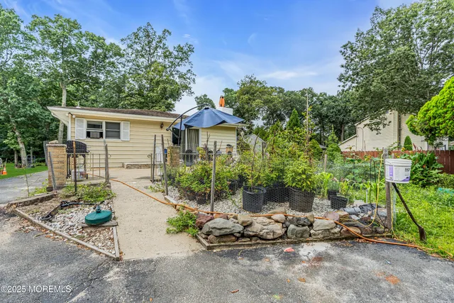 a white house that has a tree in front of it