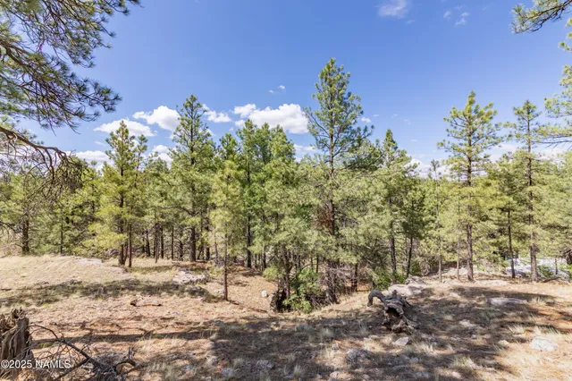 $150,000 | 3753 Happy Trails Drive, Flagstaff, AZ 86005