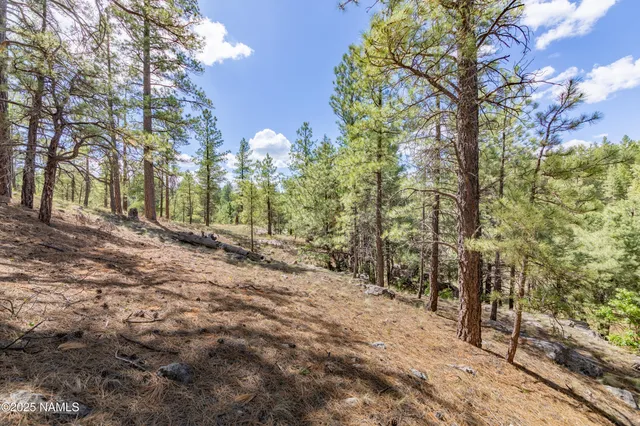$150,000 | 3753 Happy Trails Drive, Flagstaff, AZ 86005