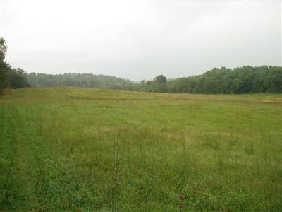 1999 Burton Williams Road Irvine, KY 40336 - Photo 41 of 47 Photo 42