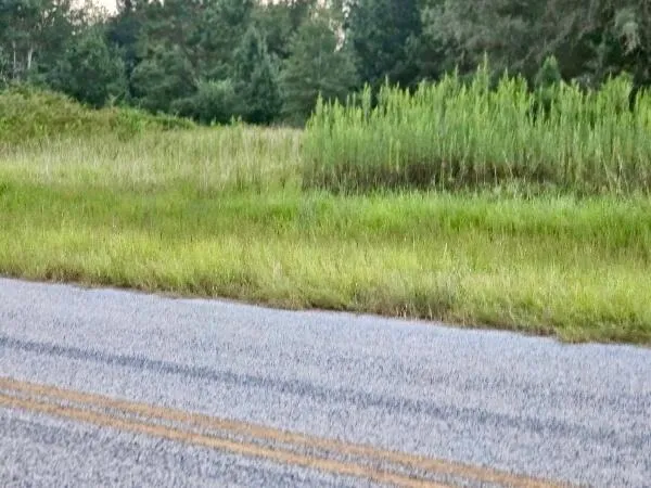 $94,500 | 300 Home Tract Road, Waynesboro, GA 30830