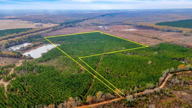 $208,800 | Tbd Tbd Cr-4308, Simms, TX 75574