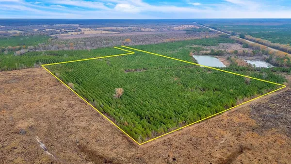 a view of a field with an ocean