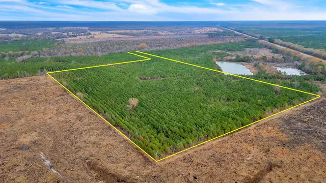 $208,800 | Tbd Tbd Cr-4308, Simms, TX 75574