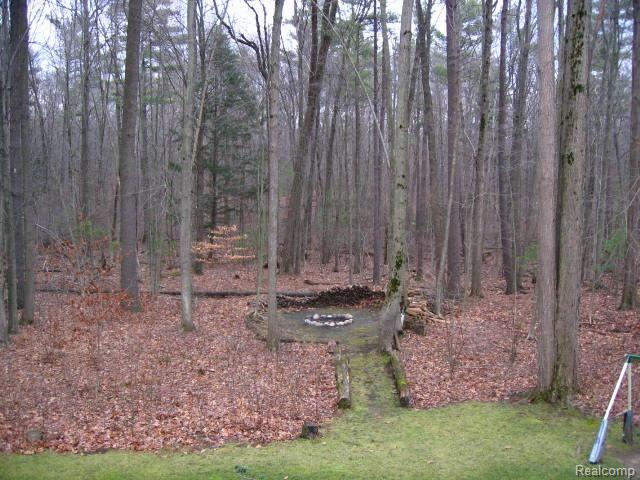 4440 Brott Road North Street, MI 48049 - Photo 2 of 24 BEAUTIFUL WOOD