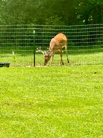 $359,900 | 509 Fluker Street, Thomson, GA 30824