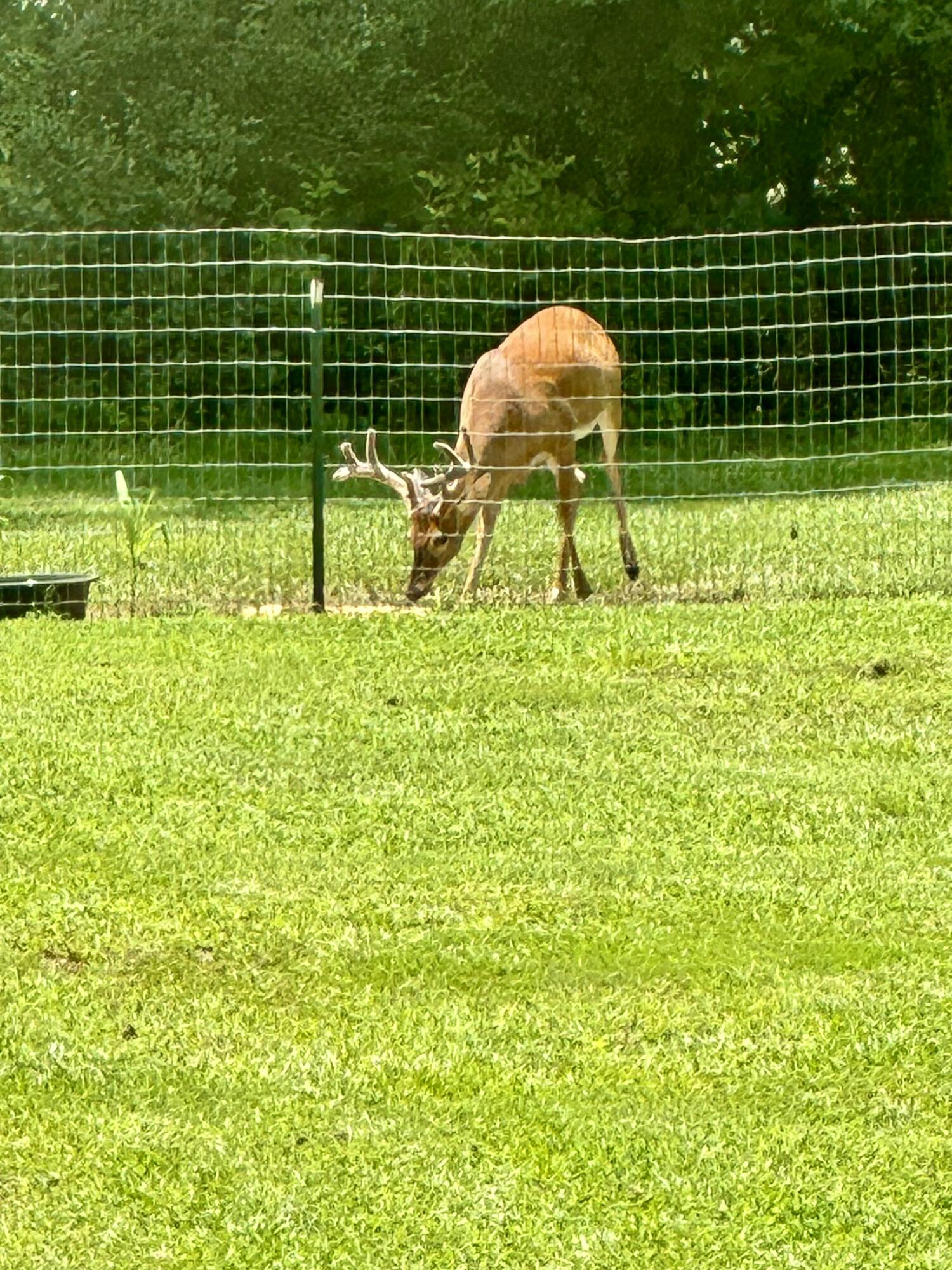 509 Fluker Street Thomson, GA 30824 - Photo 56 of 59 IMG_6387