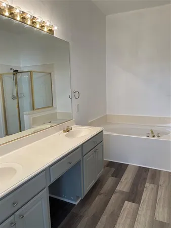 a bathroom with a sink and a bathtub