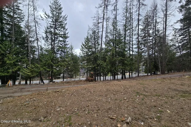 $179,000 | Lot 11 Lot Road, Sandpoint, ID 83864