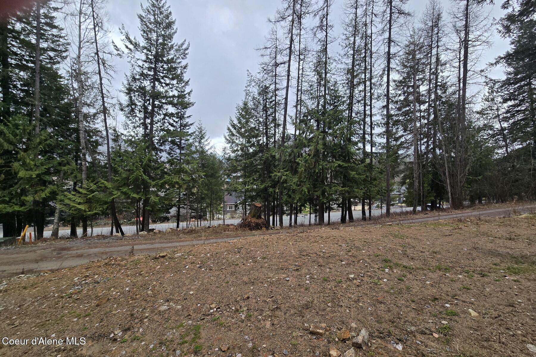 Lot 11 Lot Road Sandpoint, ID 83864 - Photo 5 of 10 005_84603916