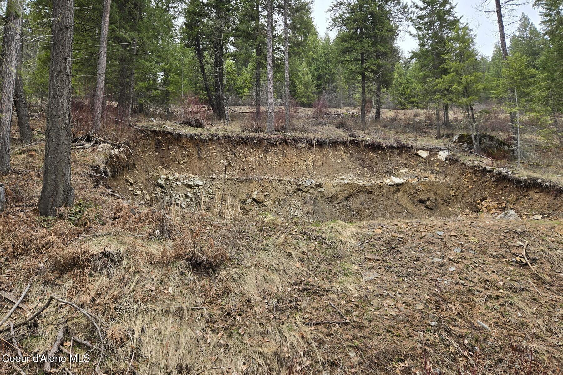 Lot 11 Lot Road Sandpoint, ID 83864 - Photo 8 of 10 008_20250403_124831