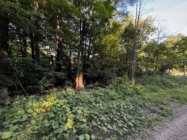 a view of outdoor space and garden