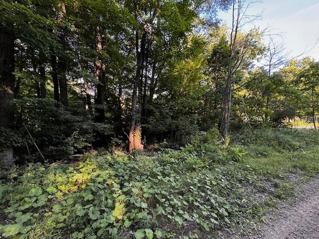 a view of outdoor space and garden