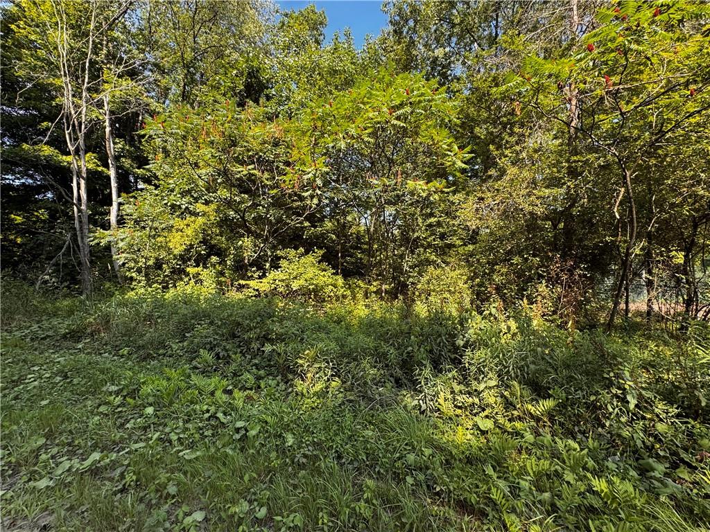 Lot 614-637 638 Weed Road Union City, PA 16438 - Photo 15 of 18 a view of a large yard with lots of bushes