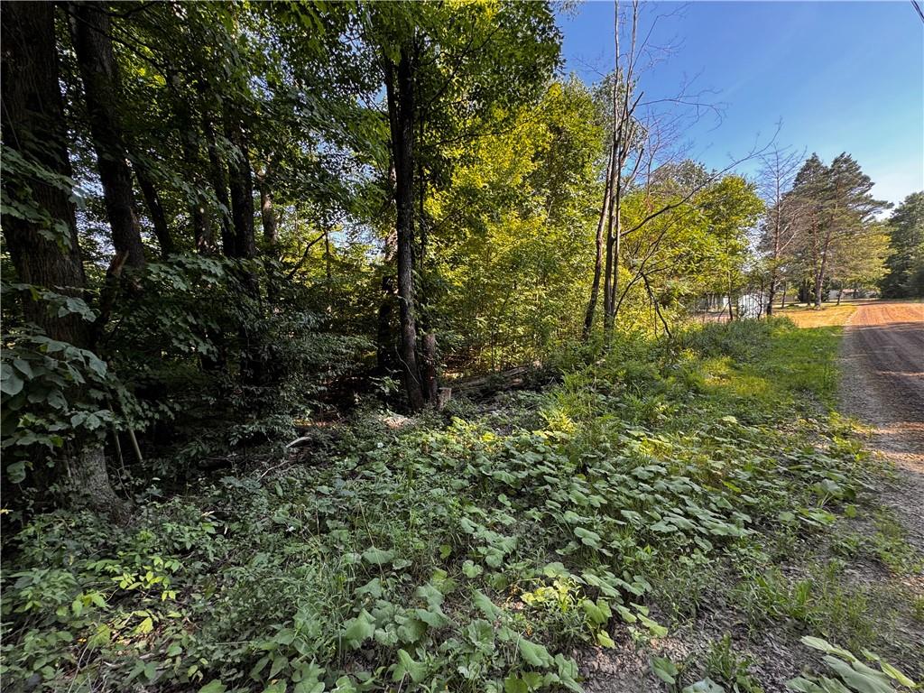 Lot 614-637 638 Weed Road Union City, PA 16438 - Photo 17 of 18 a view of a forest