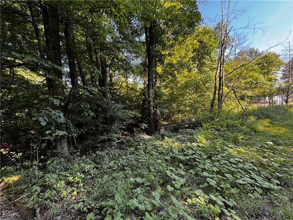 Lot 614-637 638 Weed Road Union City, PA 16438 - Photo 18 of 18 a view of a tree