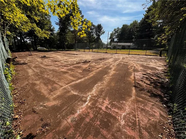 a view of empty space with trees