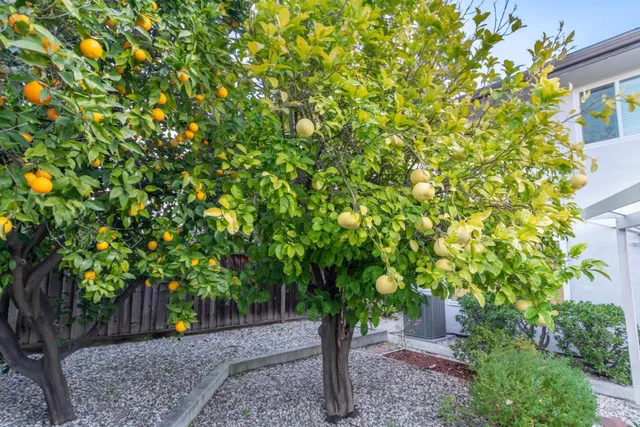 $1,999,888 | 3195 Kawalker Lane, San Jose, CA 95127