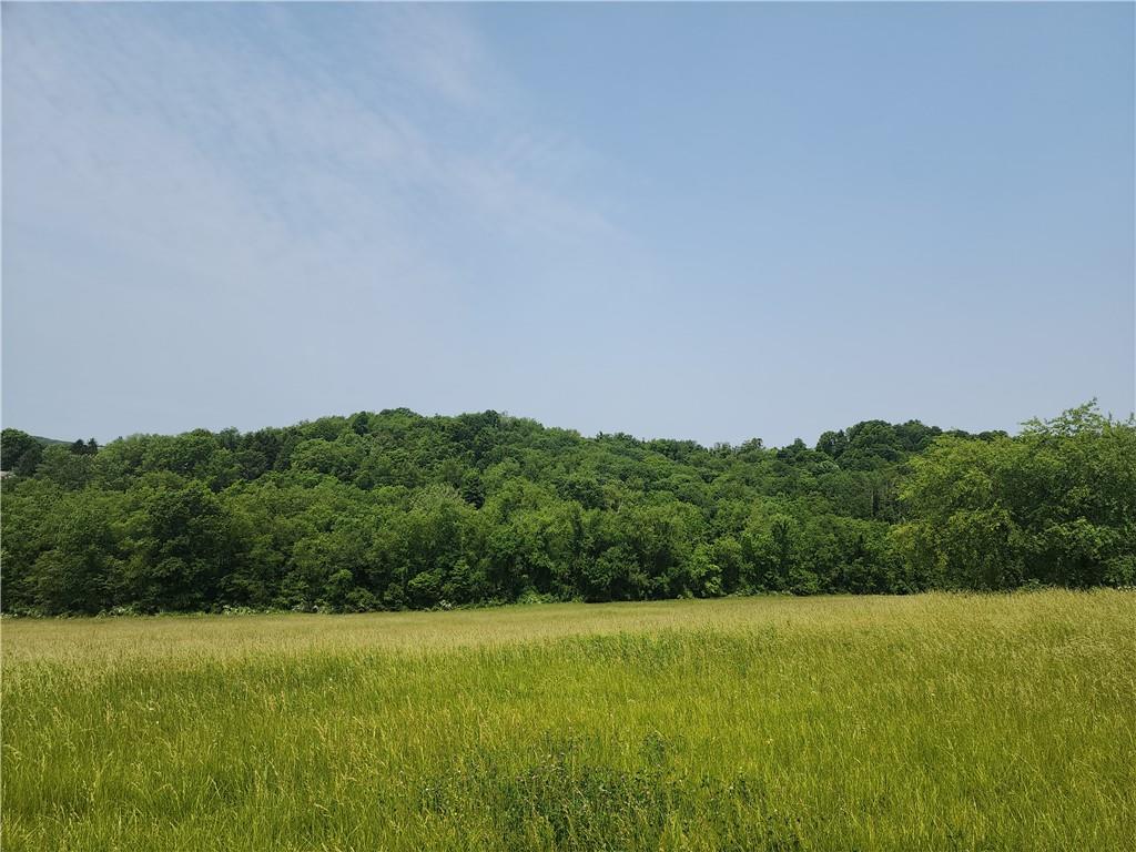 0 Atlas Cherry Valley Road Burgettstown, PA 15021 - Photo 18 of 21 a view of a field with an ocean