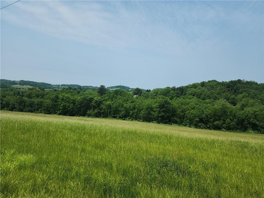 0 Atlas Cherry Valley Road Burgettstown, PA 15021 - Photo 19 of 21 a view of field with grass and trees