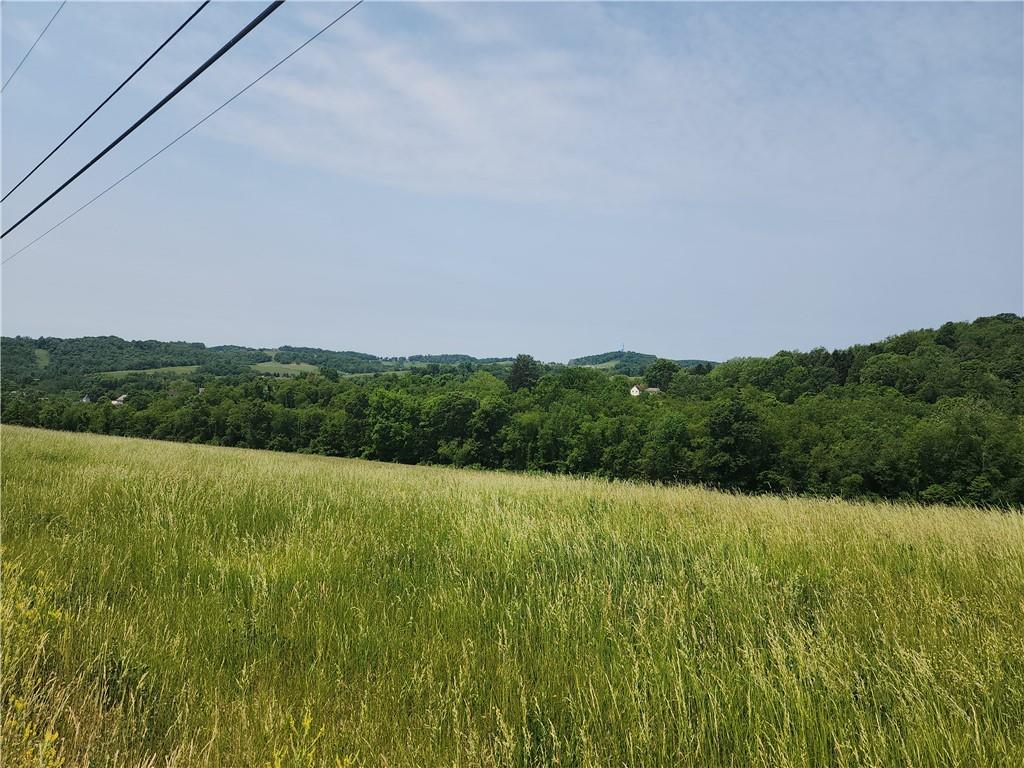 0 Atlas Cherry Valley Road Burgettstown, PA 15021 - Photo 20 of 21 a view of an outdoor space and a yard