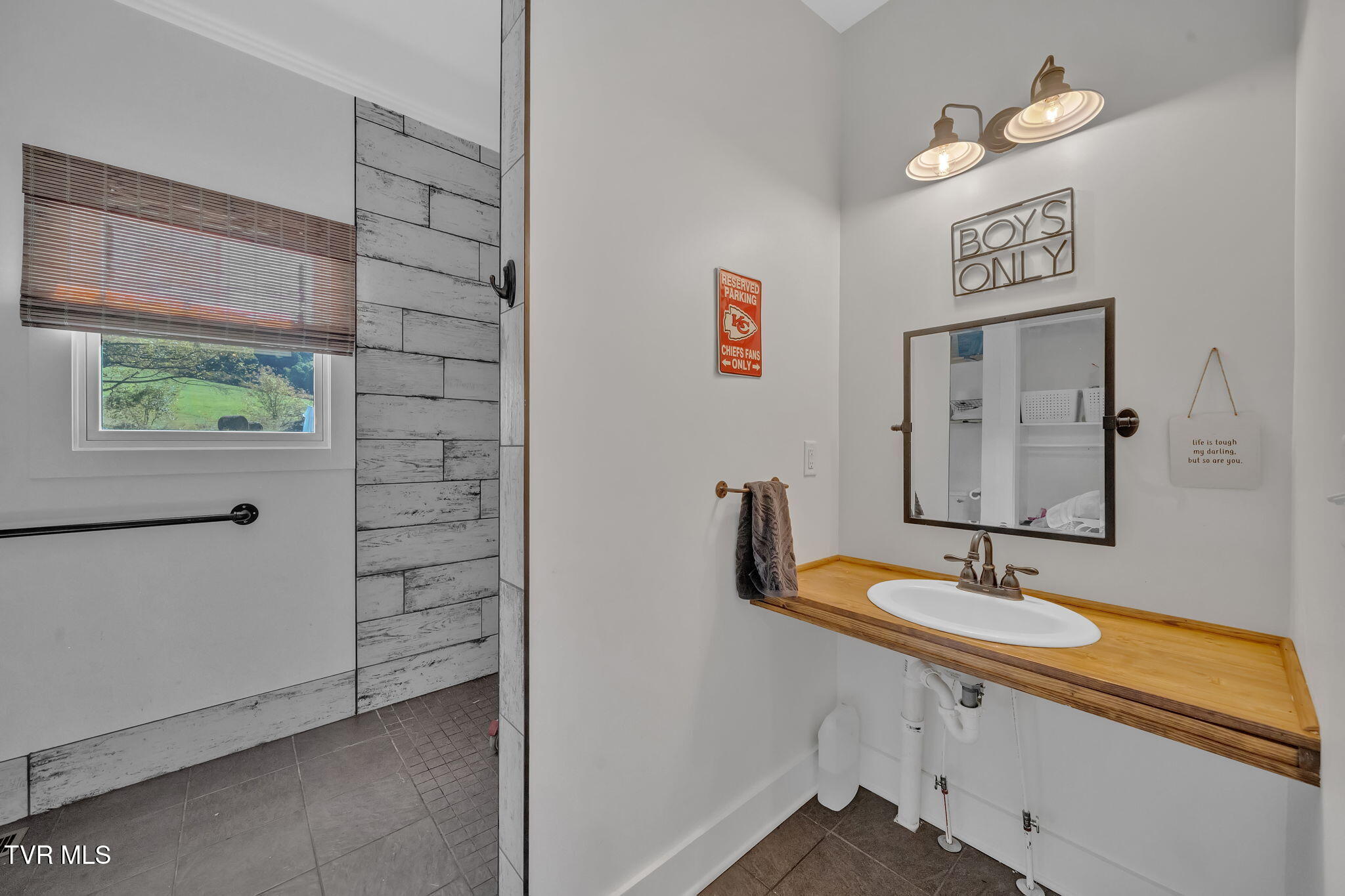 136 Shepherd Road Johnson City, TN 37601 - Photo 33 of 50 45-web-or-mls-DSC05742