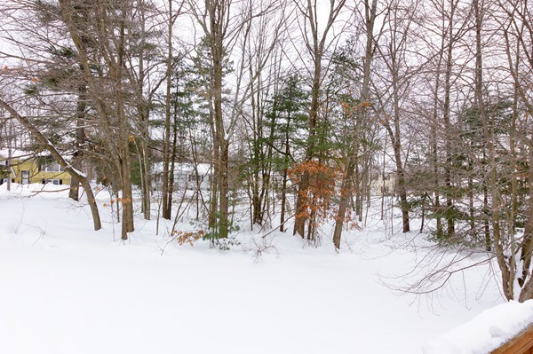 53 Lancaster Road, Unit 10 Clinton, MA 01510 - Photo 18 of 20 a view of snow covered with trees