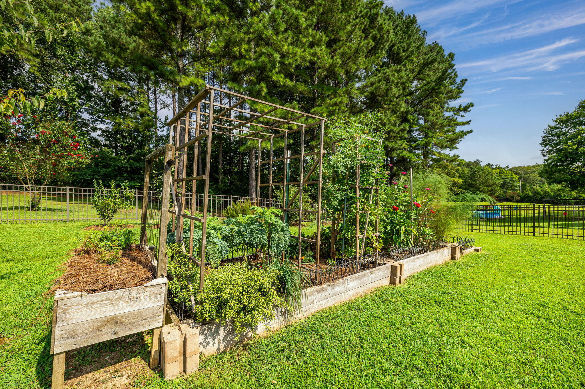 12121 Floyd Brown Road Soddy Daisy, TN 37379 - Photo 11 of 42 Good soil for veggies and herbs