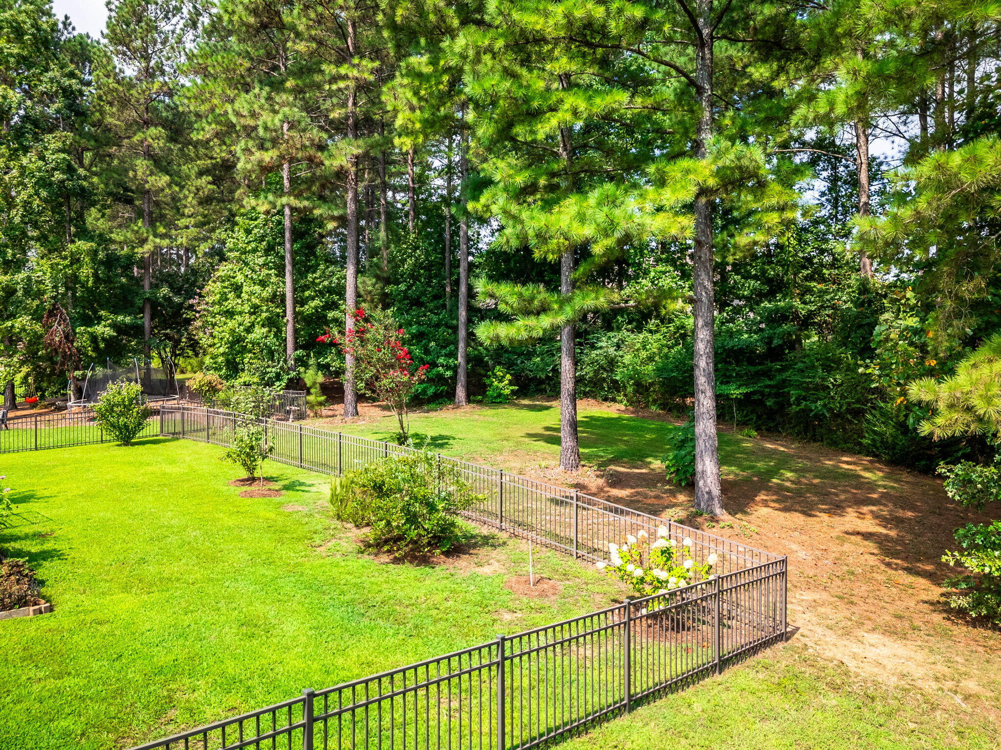 12121 Floyd Brown Road Soddy Daisy, TN 37379 - Photo 33 of 42 Backyard goes way past the fence line