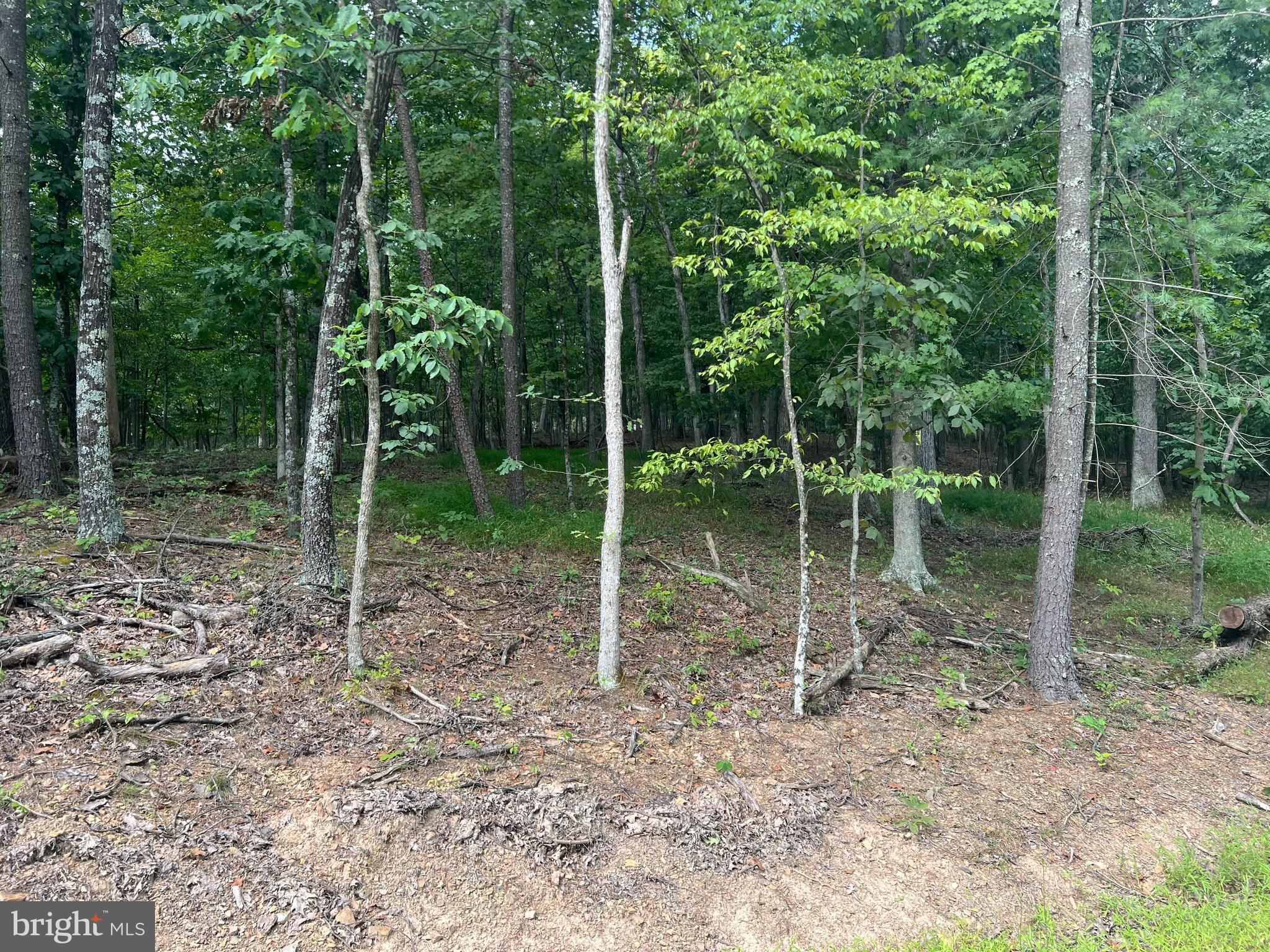 140 McCoy Road Berkeley Springs, WV 25411 - Photo 26 of 35