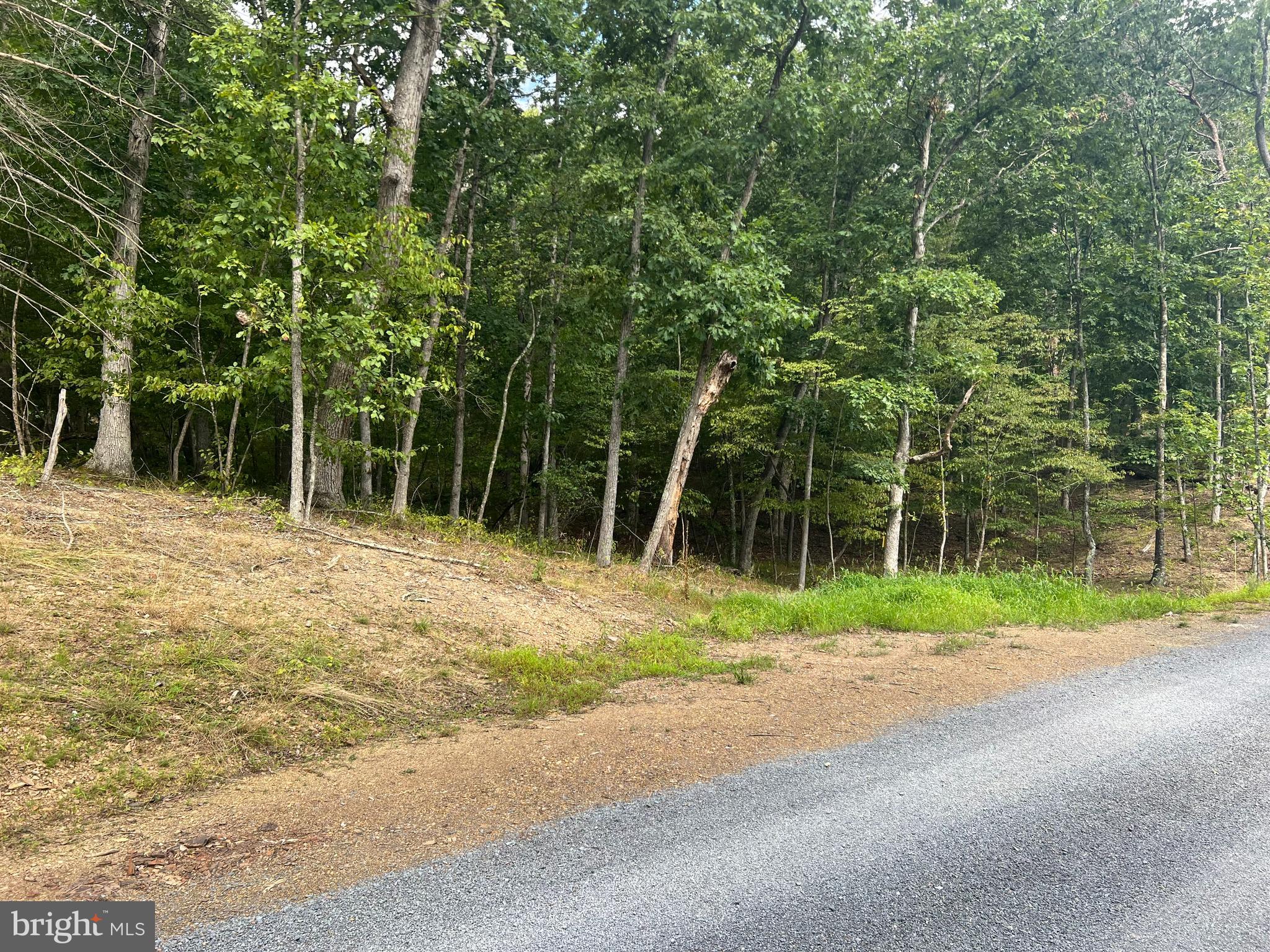 140 McCoy Road Berkeley Springs, WV 25411 - Photo 28 of 35