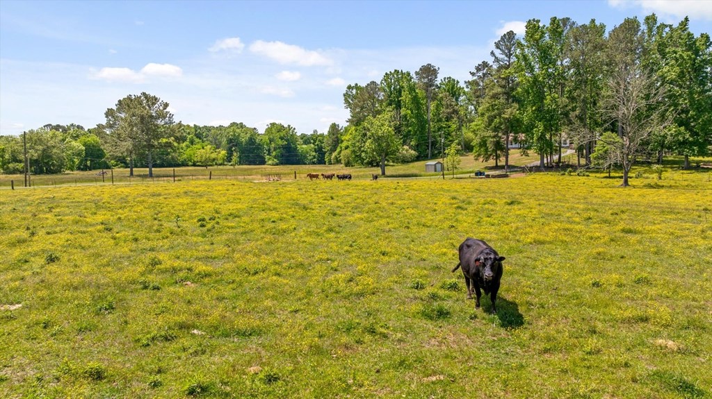 446 Brown Bridge Road Chatsworth, GA 30705 - Photo 15 of 75