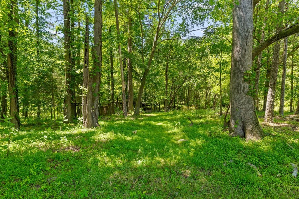 446 Brown Bridge Road Chatsworth, GA 30705 - Photo 20 of 75 a big yard with lots of green space and trees