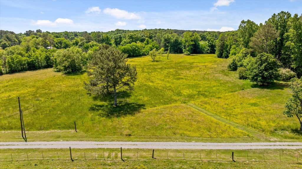 446 Brown Bridge Road Chatsworth, GA 30705 - Photo 7 of 75