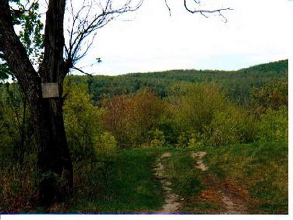 0 Winch Hill Road Northfield, VT 05669 - Photo 1 of 5