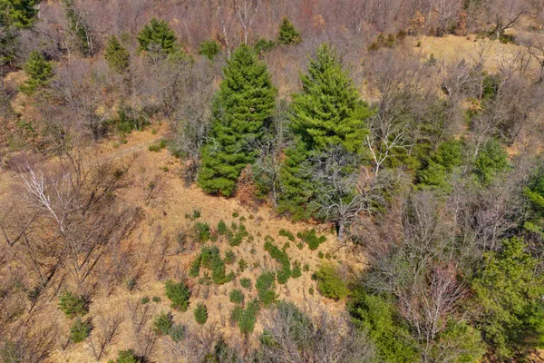 $1,100,000 | W4315 Brown Deer Court, Redgranite, WI 54970